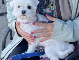 Maja 4 Jahre - sucht ein neues Zuhause