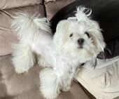 Bailey_5_Monate_4_-_1.jpg